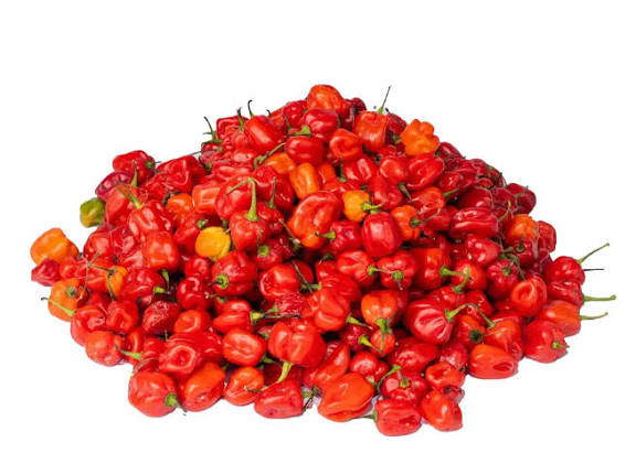 Fresh Pepper