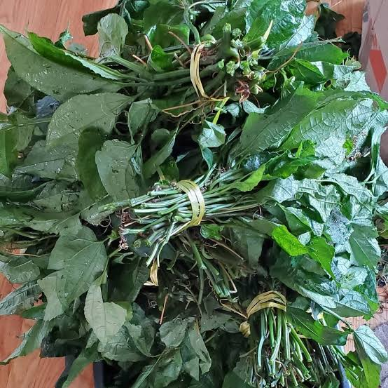 Ugu Leaves
